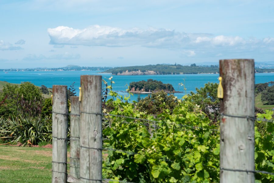 Auckland Is a Harbour City. Use It Like One