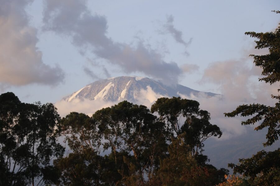Mount Kilimanjaro above the forest in Tanzania.